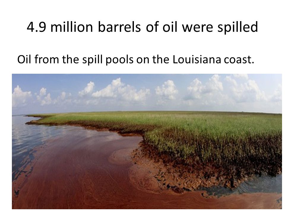 4.9 million barrels of oil were spilled Oil from the spill pools on the Louisiana coast.