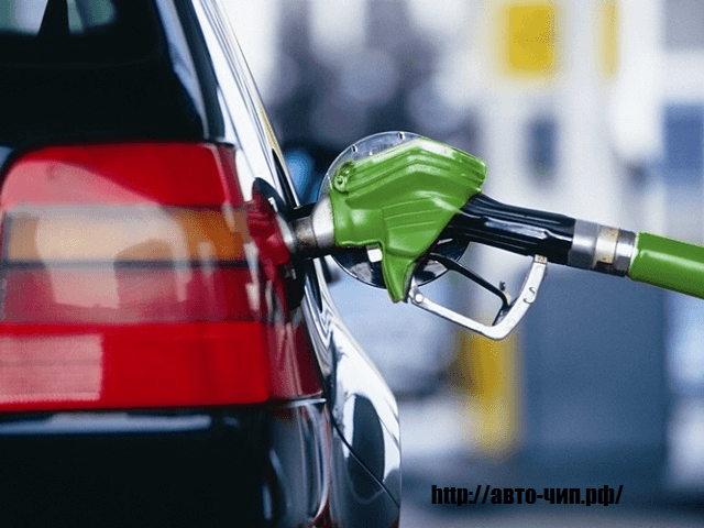 Как узнать какой бензин заливать в машину?